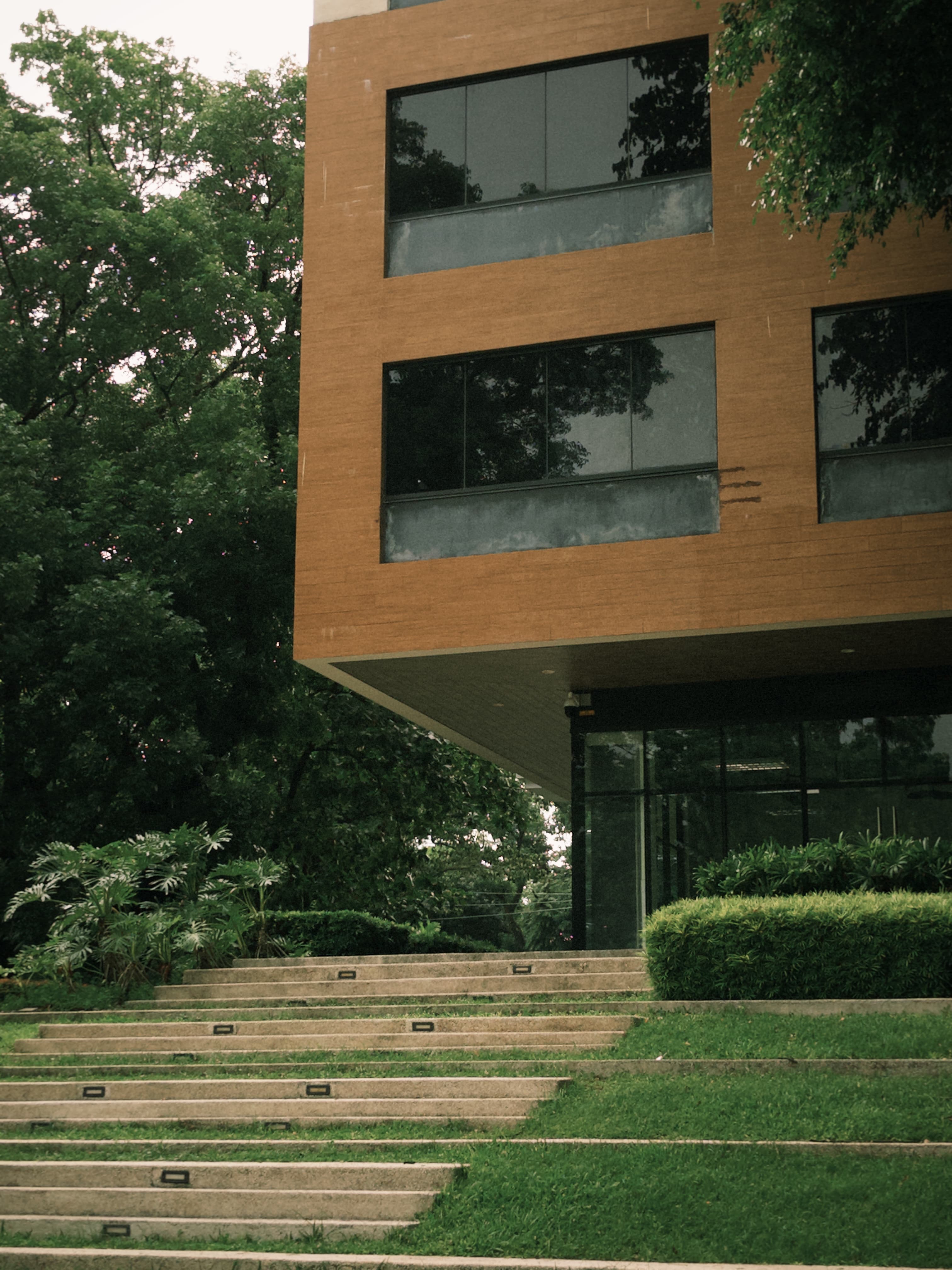 10_building.jpg